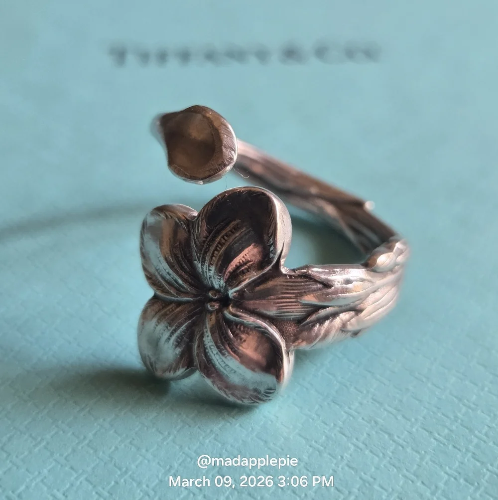 1885 Tiffany & Co. Gentian Spoon Ring Sterling Silver Designer Luxury  #59 - Picture 14 of 15
